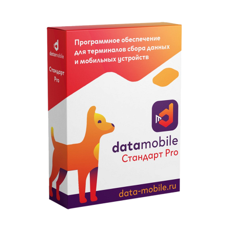 DataMobile Стандарт Pro - подписка на 1 месяц